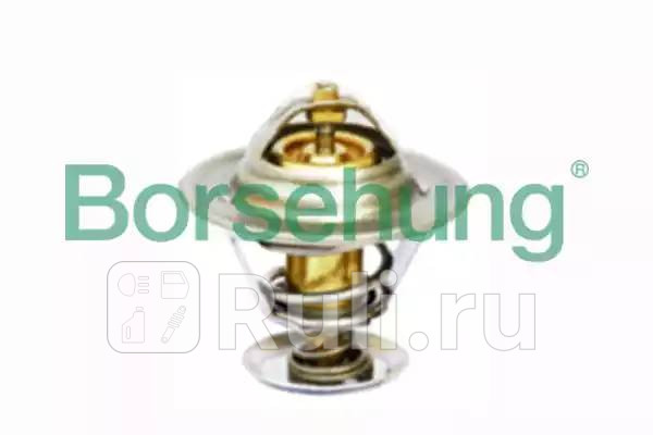 Термостат с прокл 80C Borsehung B18281 900₽
