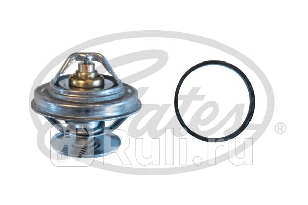 Термостат GATES TH61879G1 0₽