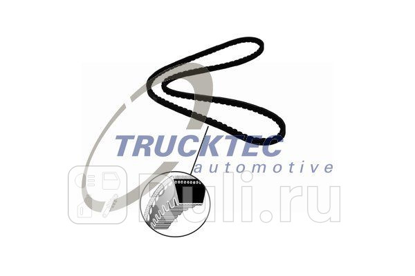 Ремень клиновый AVX 13x1075 TRUCKTEC 0419046 670₽