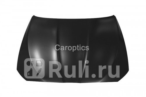 Капот для BMW F10 2009-2017 TYG BM20025B 16270₽