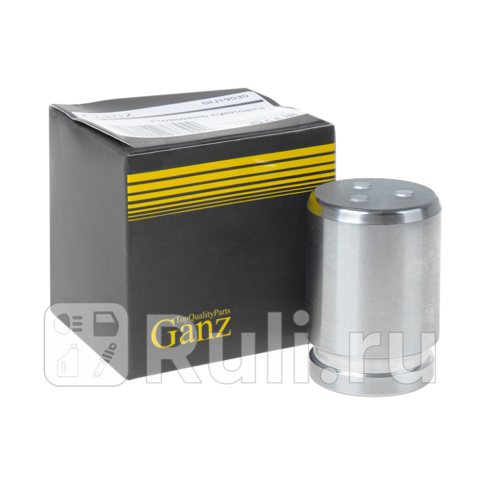 Поршень тормозного суппорта переднийзадний GANZ GIJ19030 590₽