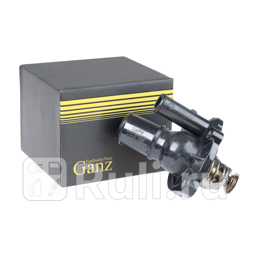 Термостат GANZ GIF08023 2540₽