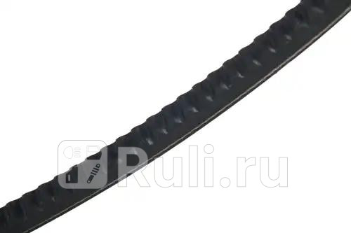 Ремень клиновой 13x655 Hyundai Accent II 16 02 STELLOX 09-41558-SX 370₽