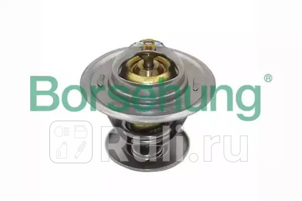 Термостат 87C-102С Borsehung B13141 940₽