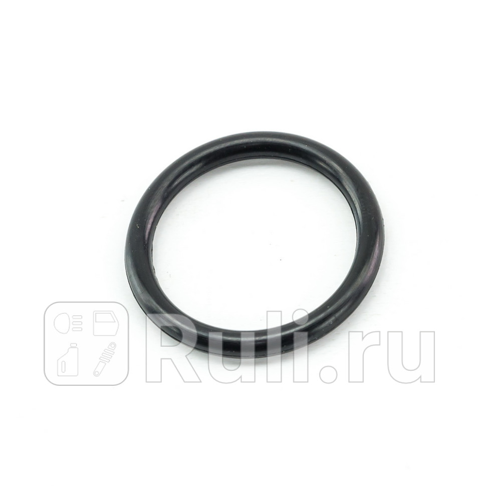 Кольцо уплотнительное двигатель DOMINANT OP56500969 450₽