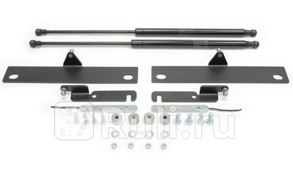 Амортизатор капота 2 шт для UAZ Patriot 2005-2014 RIVAL AST63021 2860₽