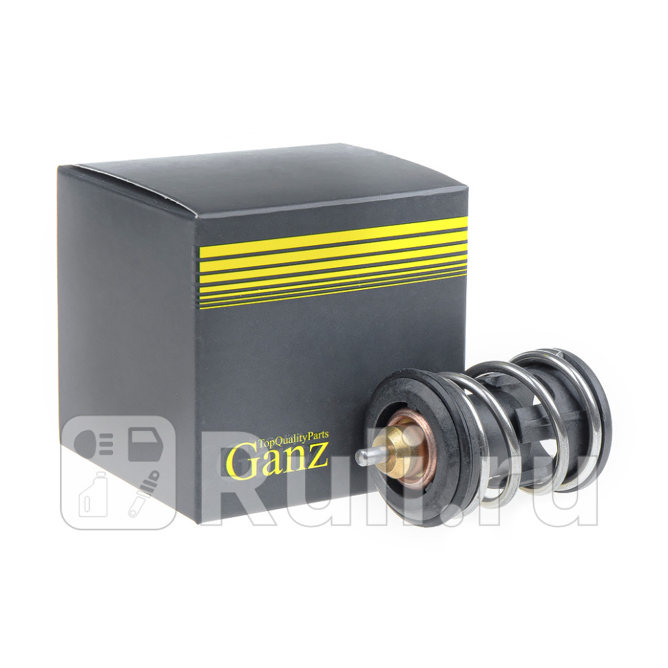 Термостат GANZ GIF08024 1140₽