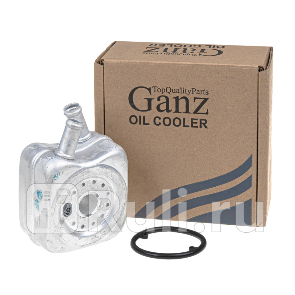 Радиатор масляный GANZ GIF11009 3000₽