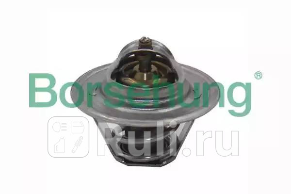 Термостат 87С-102С Borsehung B13140 940₽