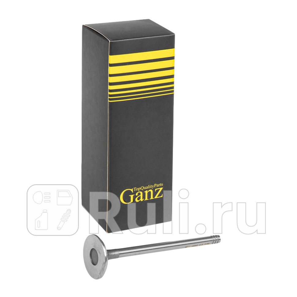 Клапан выпускной GANZ GIE09001 660₽
