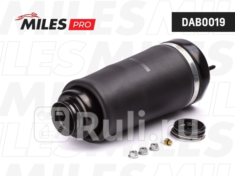 Пневмоподушка MILES DAB0019 MB R-Class W251 06-13 пер MILES DAB0019 11860₽
