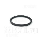 Кольцо уплотнительное термостата Г-24, 3110, 3302 (1 шт.) в пакете Балаково Запчасть  Балаково Запчасть 14567
