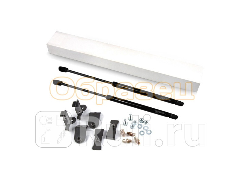 Амортизатор капота 2 шт для Ford Ecosport 2014- Autofamily KU-FD-ES00-00 2770₽