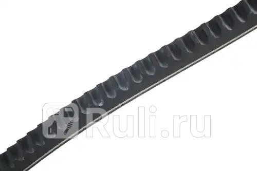 Ремень клиновой генератор-двигатель Carrier Supra722744750950GenesisR70B70 STELLOX 09-41537-SX 560₽